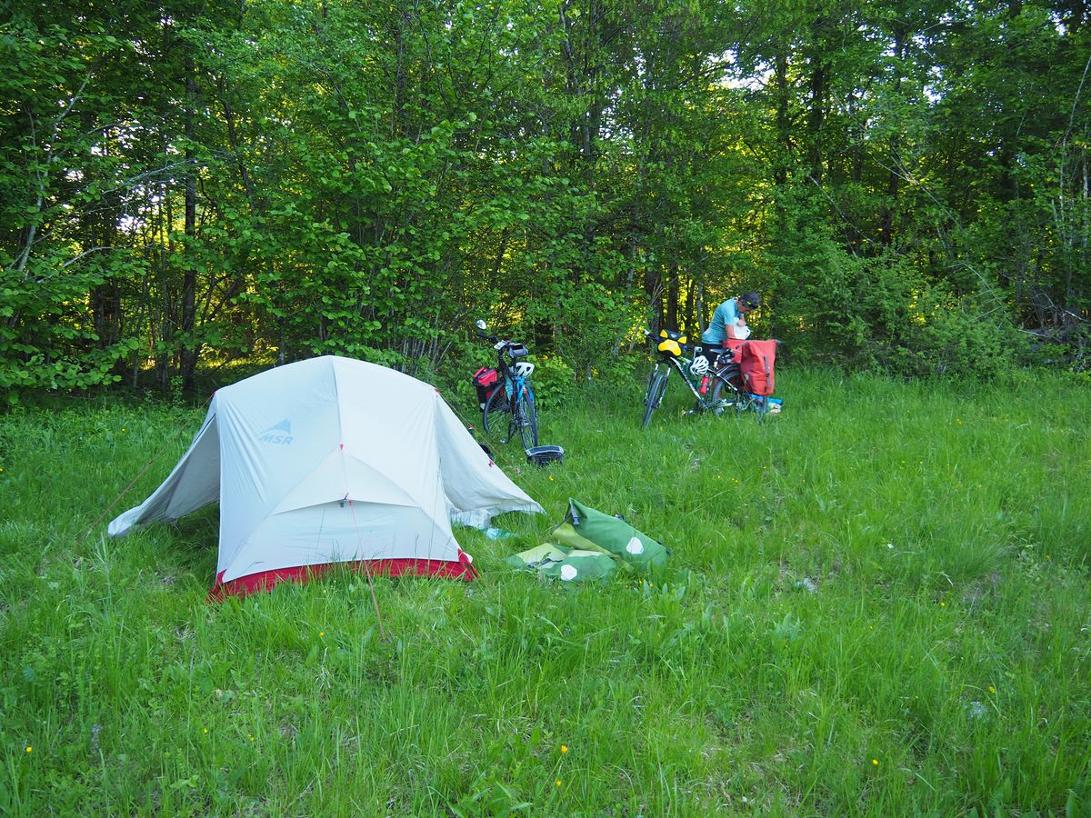 P5190051_1200.jpg