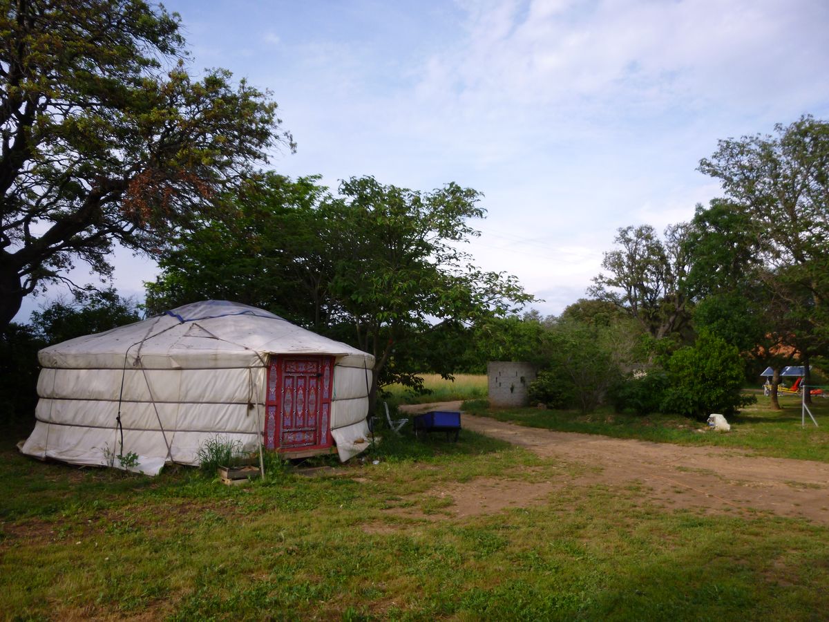 P1040928_1200.jpg