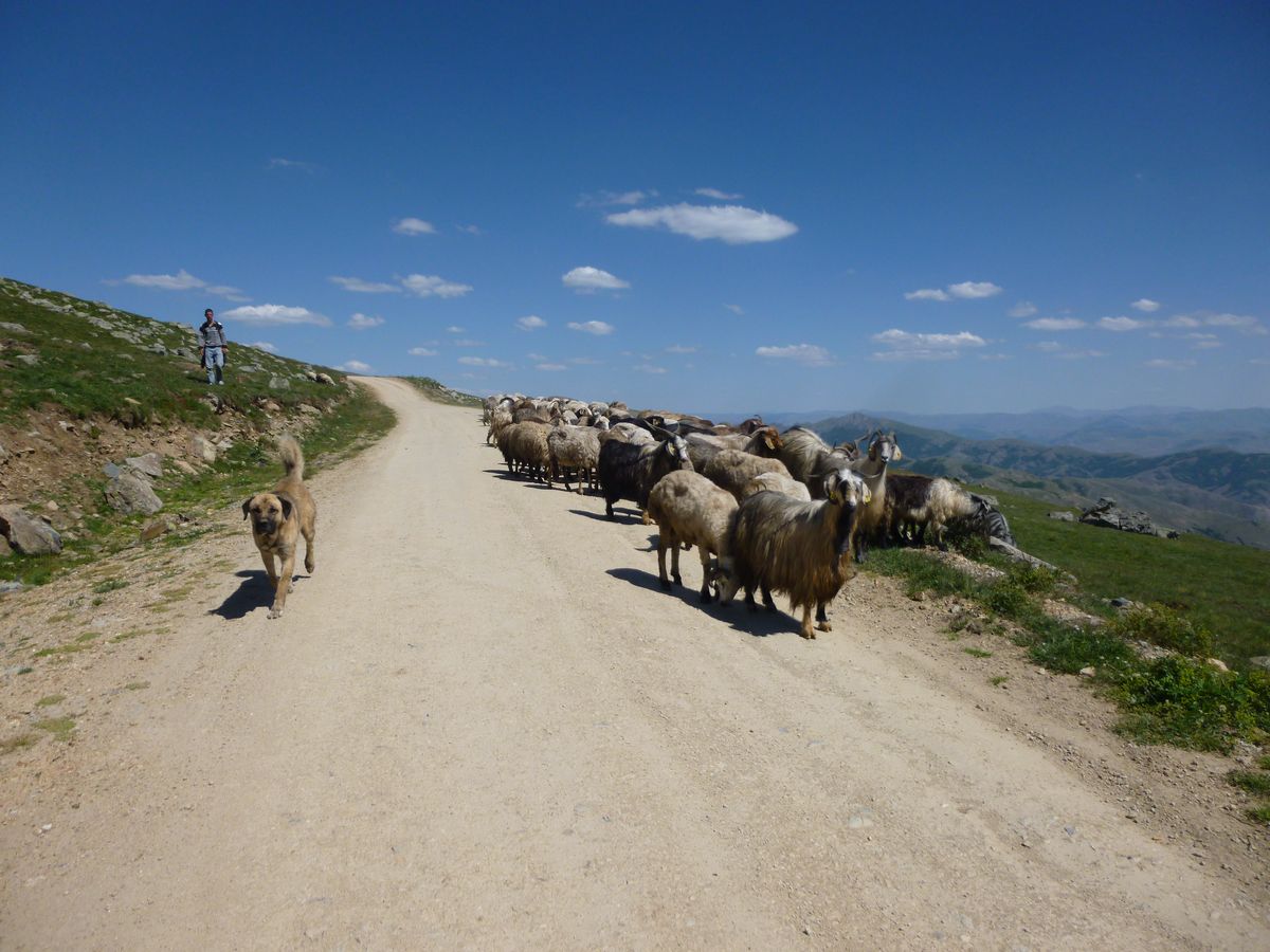 PAMIR_0327_J038_Turquie_1200.jpg