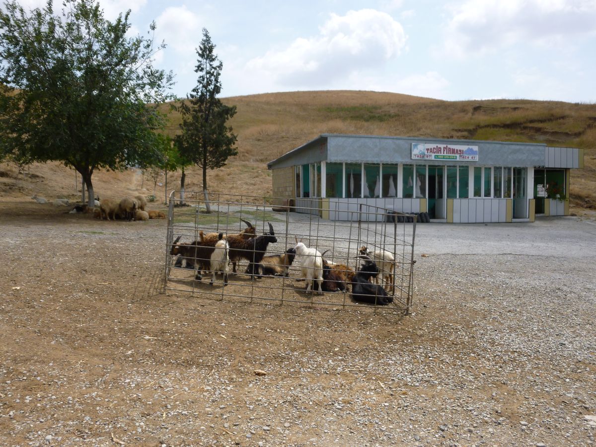 PAMIR_0371_J049_Azerbaidjan_1200.jpg