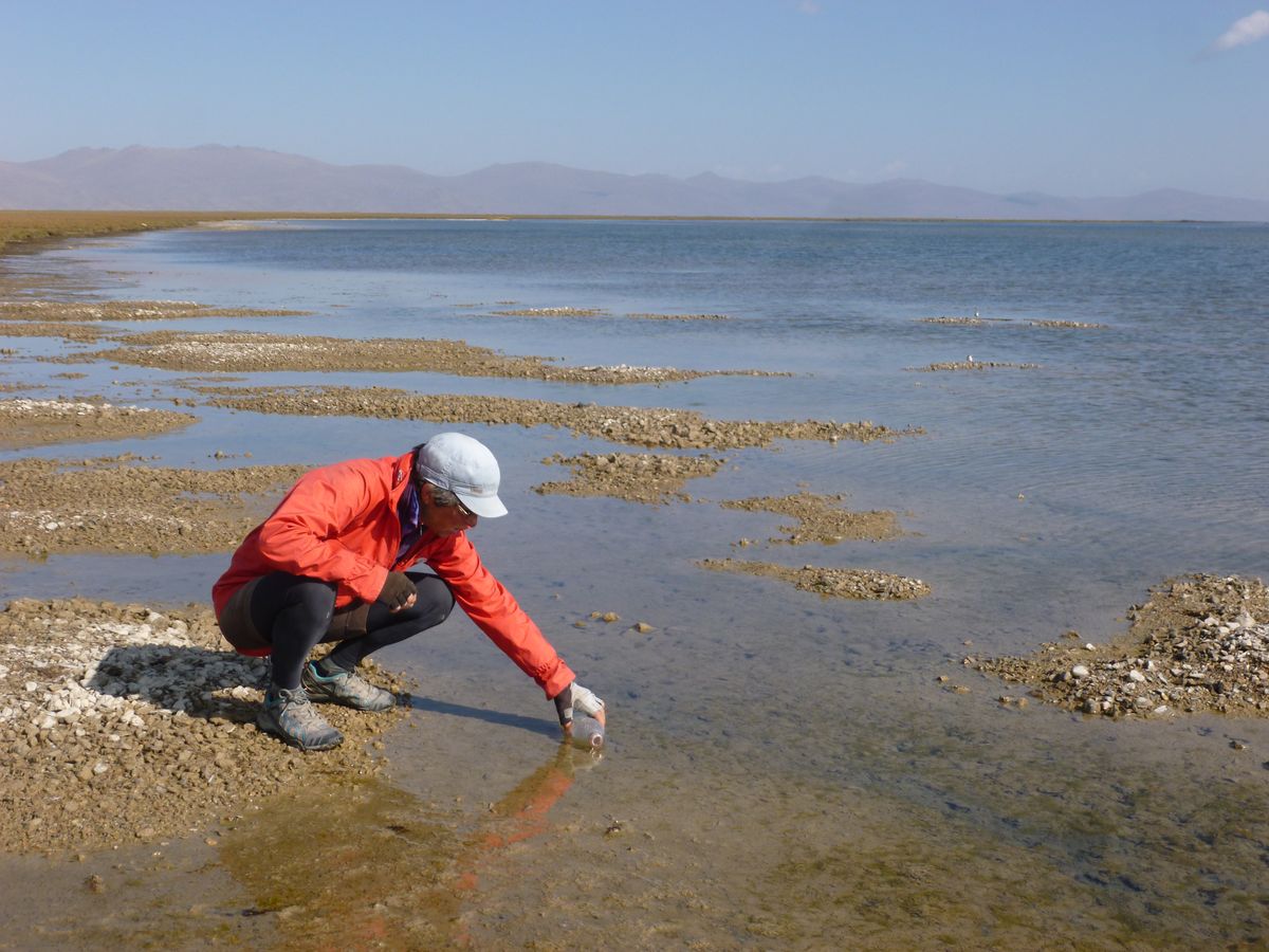 PAMIR_0909_J101_Kirghizstan_1200.jpg