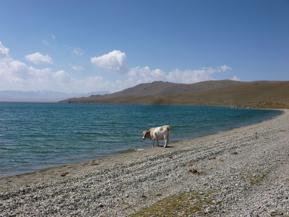 PAMIR_0931_J101_Kirghizstan_1200.jpg